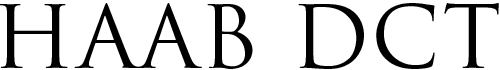 株式会社HAAB DCT